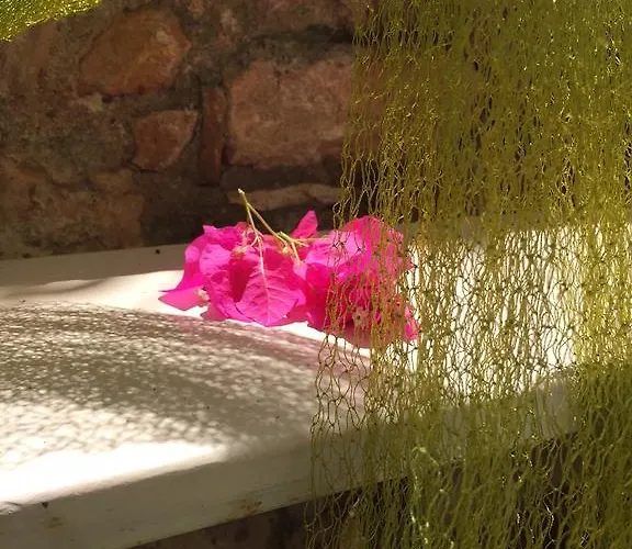 Affittacamere Cunda Adali